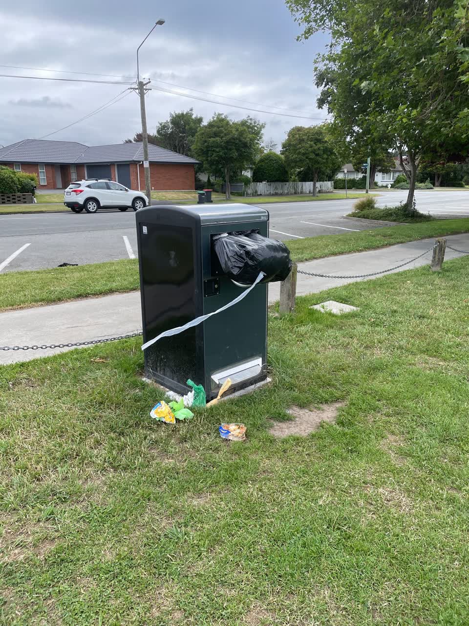 The photograph attached to this parks report
