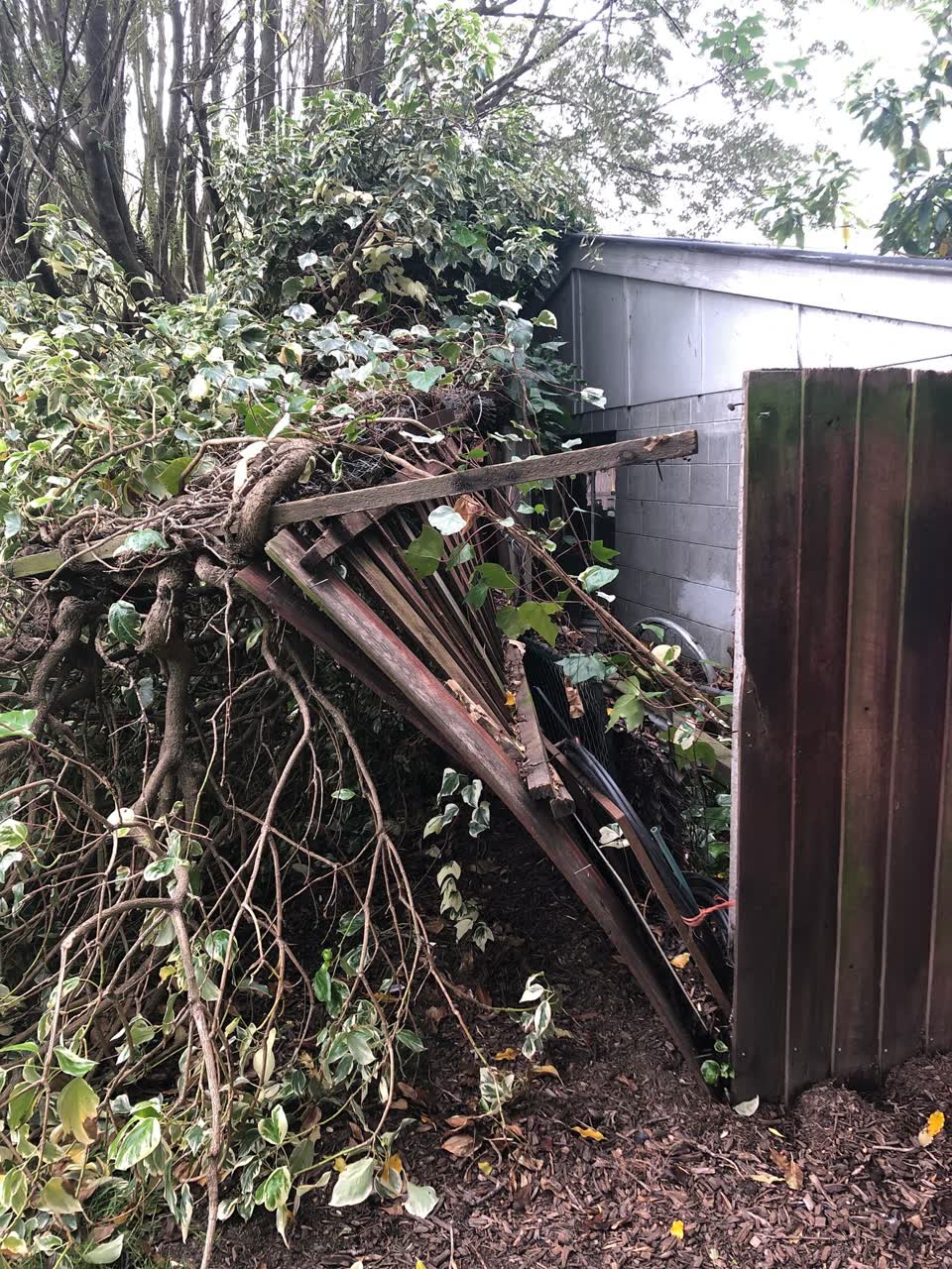 The photograph attached to this parks report