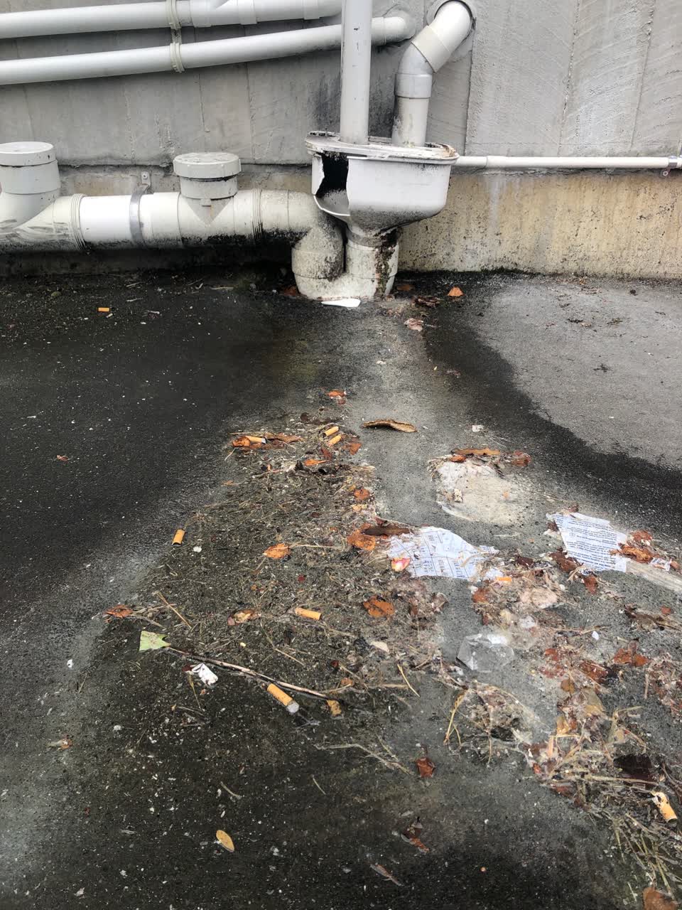 The photograph attached to this sewer - leak / blockage report