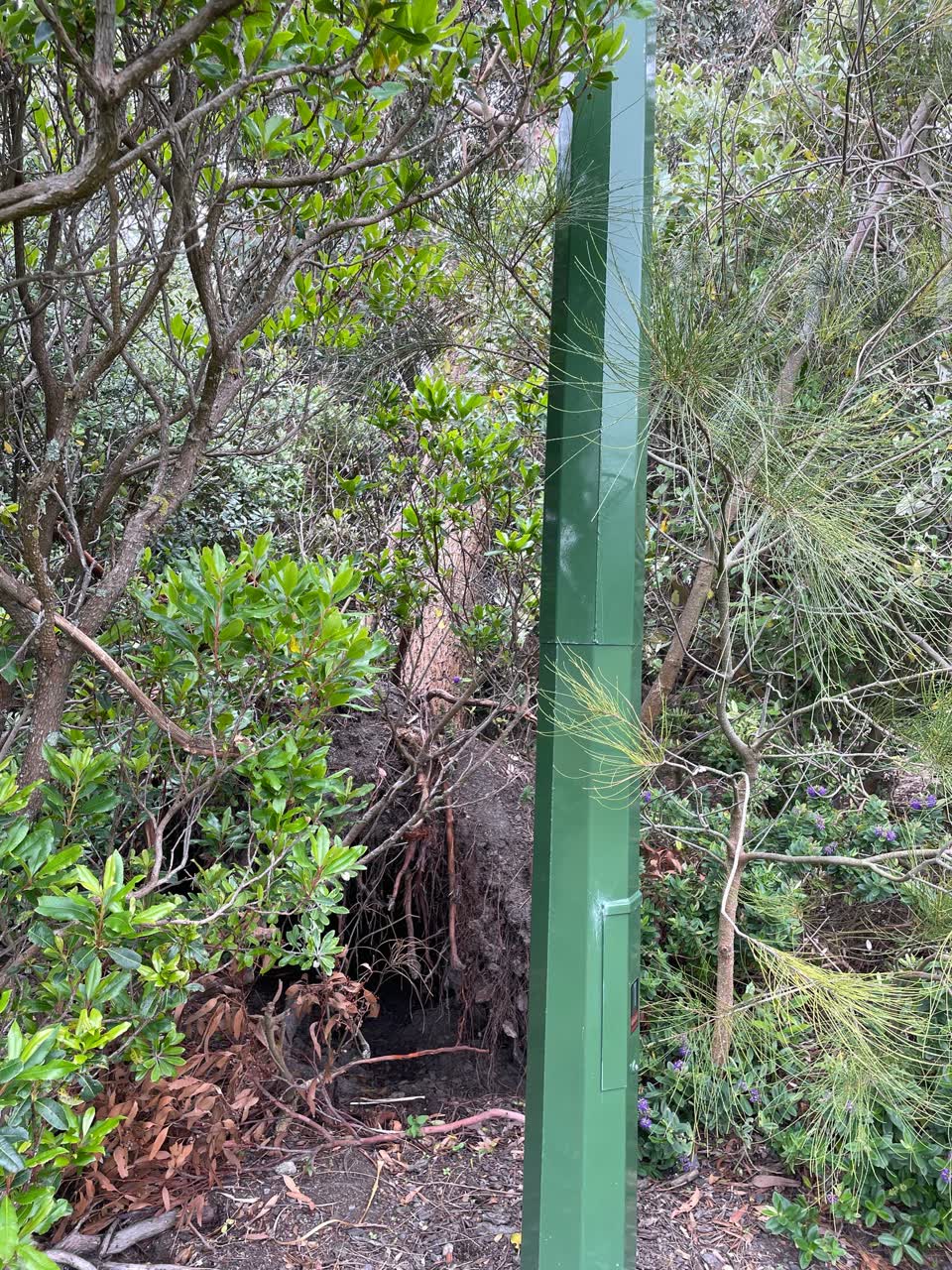 The photograph attached to this parks report