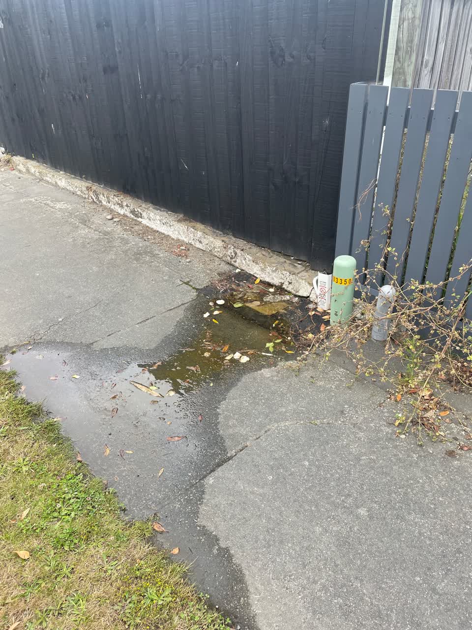 The photograph attached to this water leak report