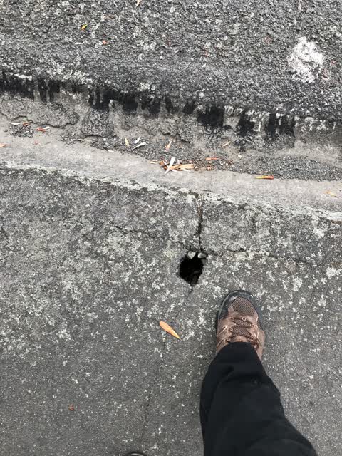 Roading/Streets, a report photo