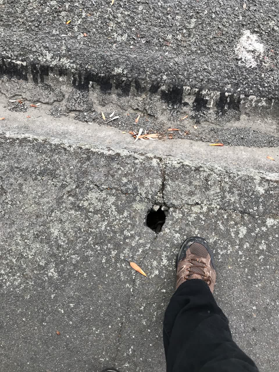 The photograph attached to this roading/streets report