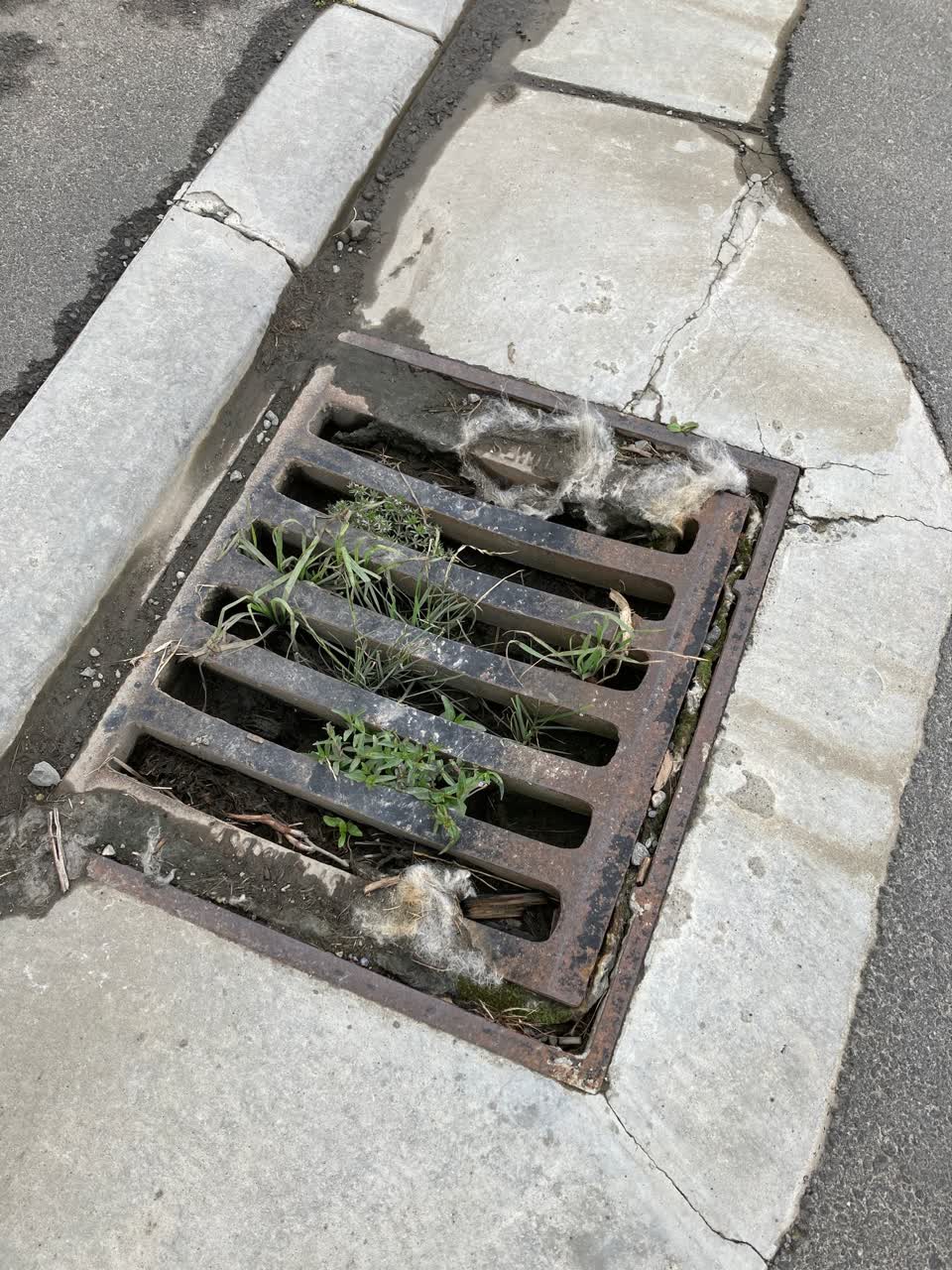 The photograph attached to this wastewater/stormwater report