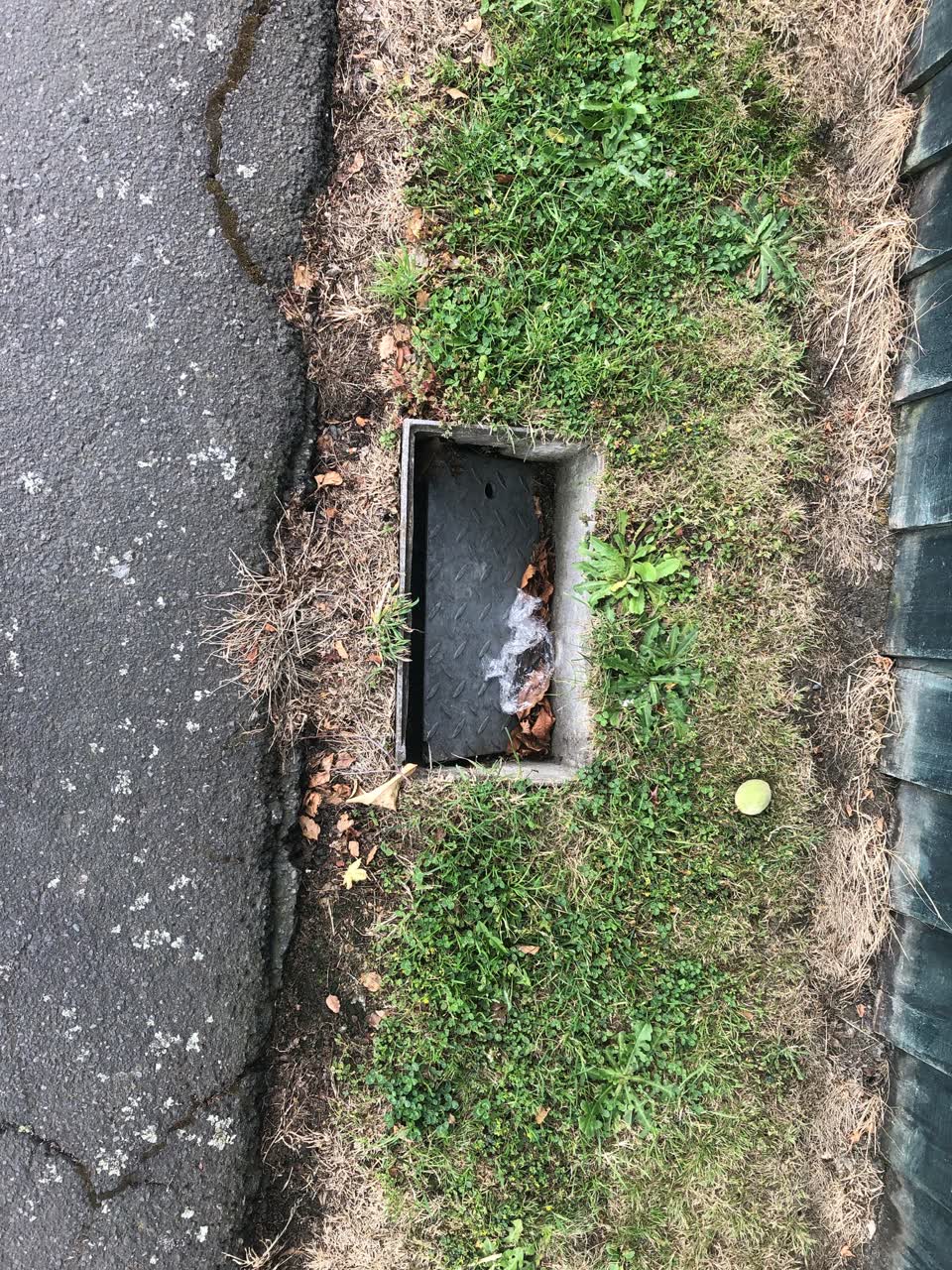 The photograph attached to this water supply report