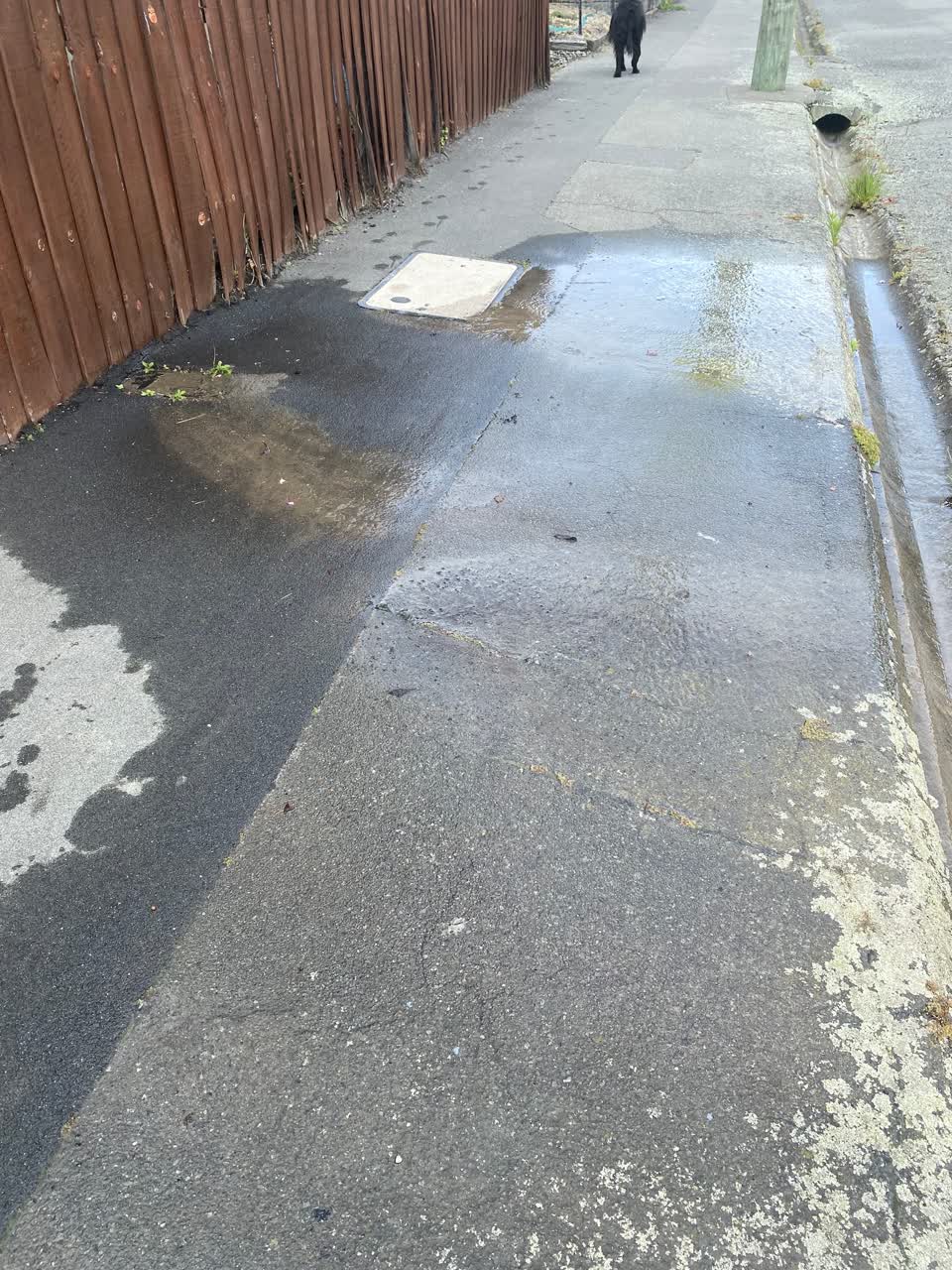 The photograph attached to this water leak report