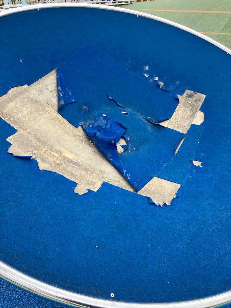 The photograph attached to this parks report