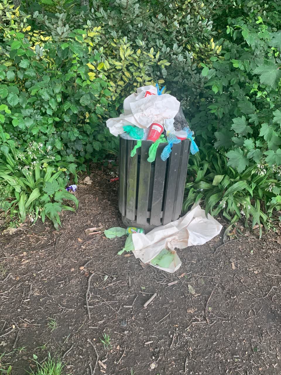 The photograph attached to this rubbish/recycling report