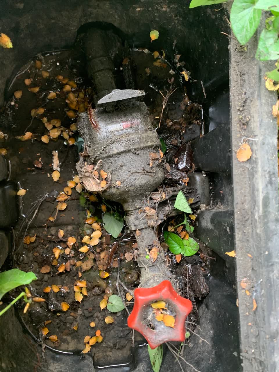 The photograph attached to this water leak report