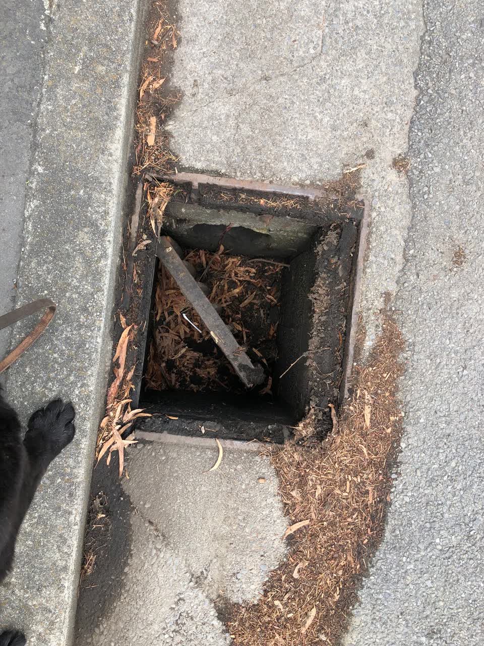The photograph attached to this wastewater/stormwater report