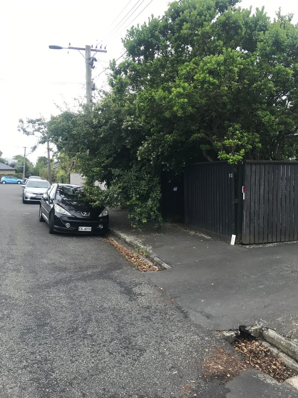 The photograph attached to this roading/streets report