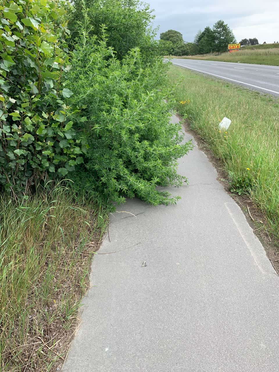 The photograph attached to this roading/streets report