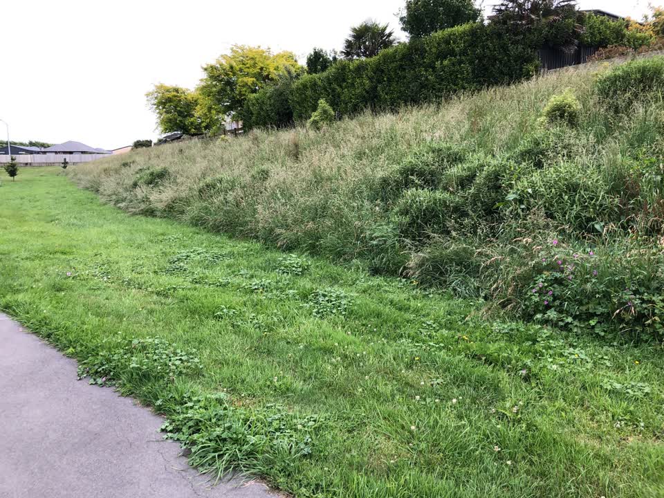 The photograph attached to this parks report