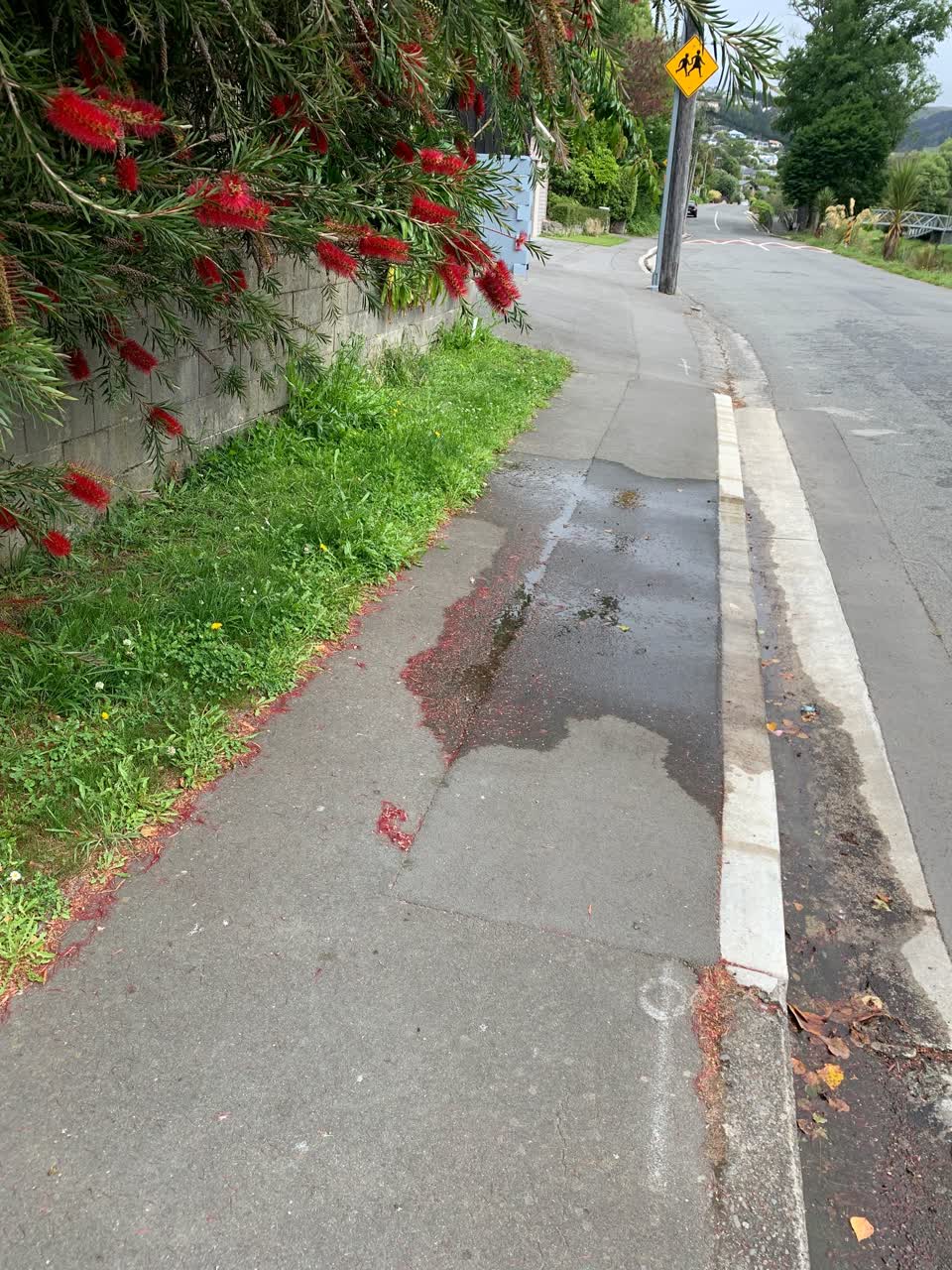 The photograph attached to this water leak report