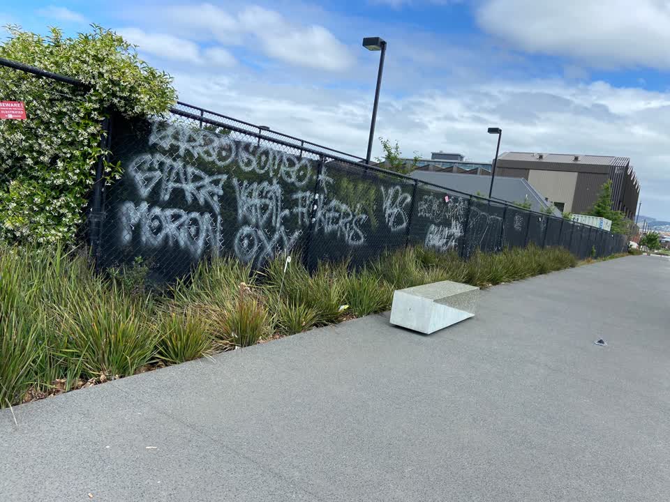 The photograph attached to this graffiti report