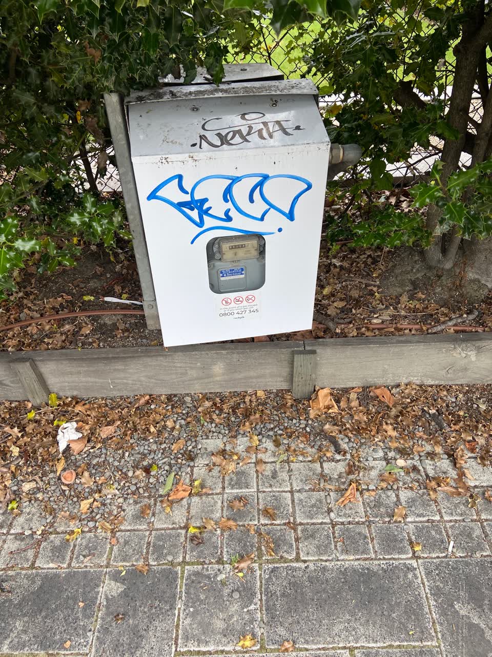 The photograph attached to this graffiti report