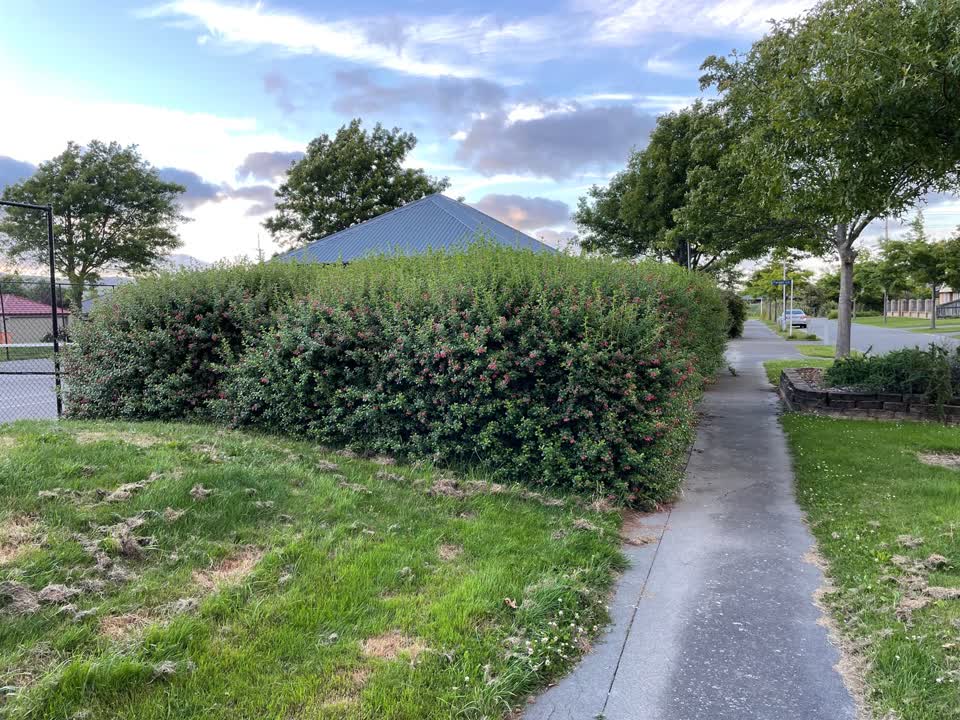 The photograph attached to this parks report