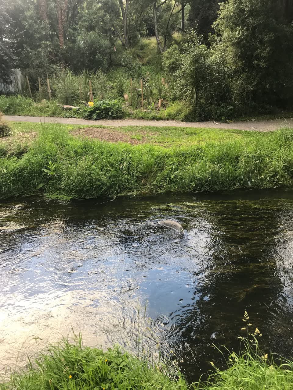 The photograph attached to this parks report