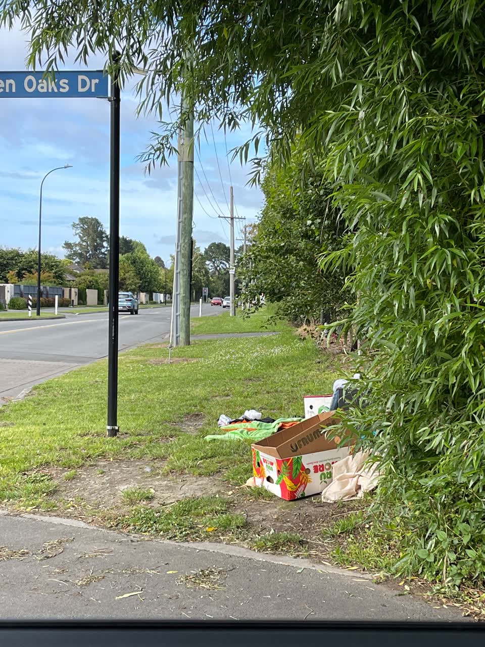 The photograph attached to this rubbish/recycling report
