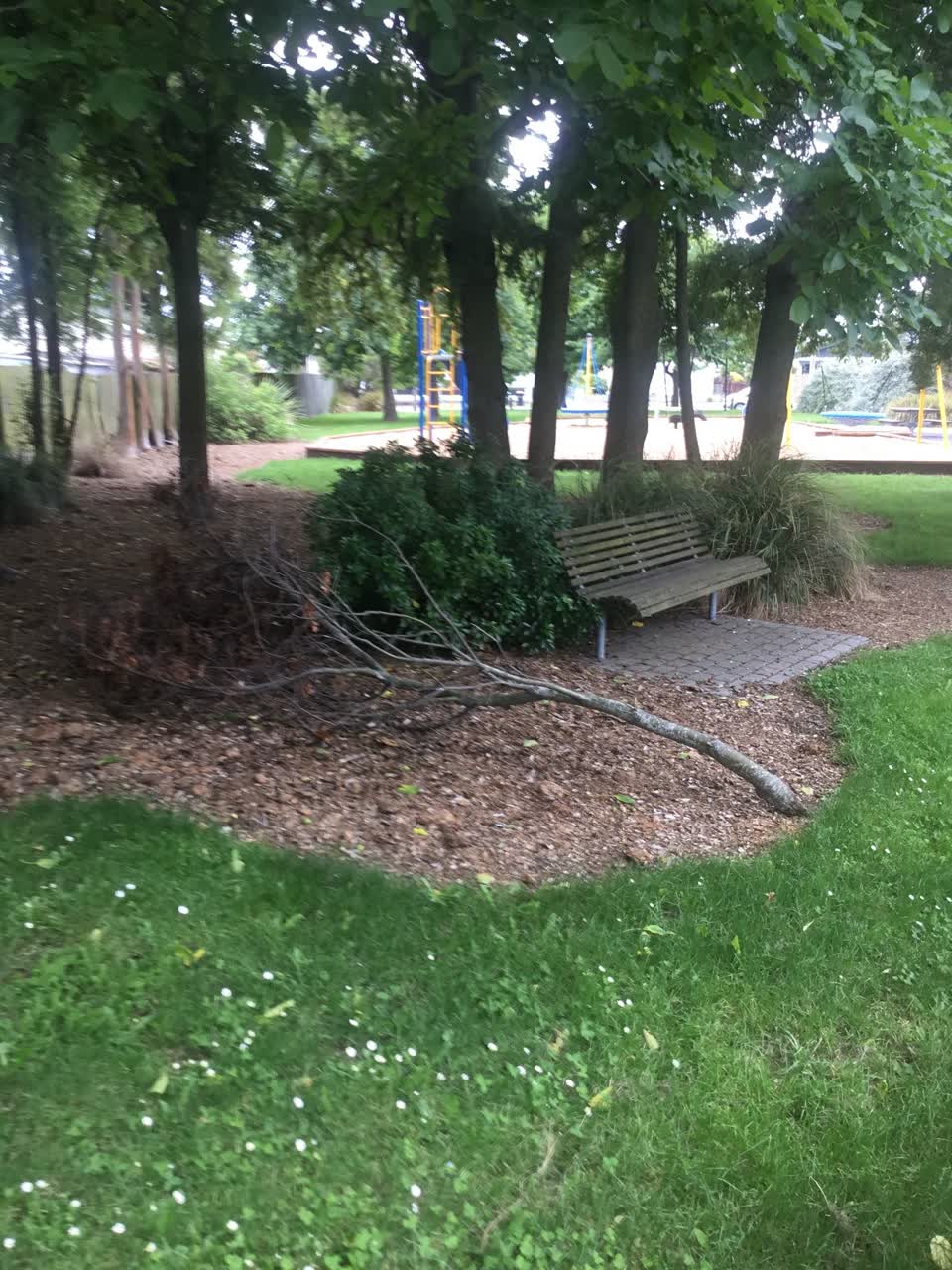 The photograph attached to this parks report