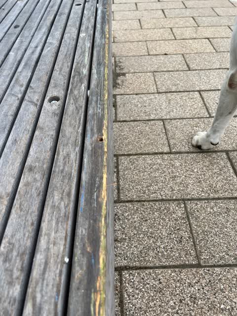 Roading/Streets, a report photo
