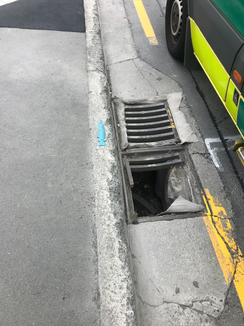 The photograph attached to this roading/streets report
