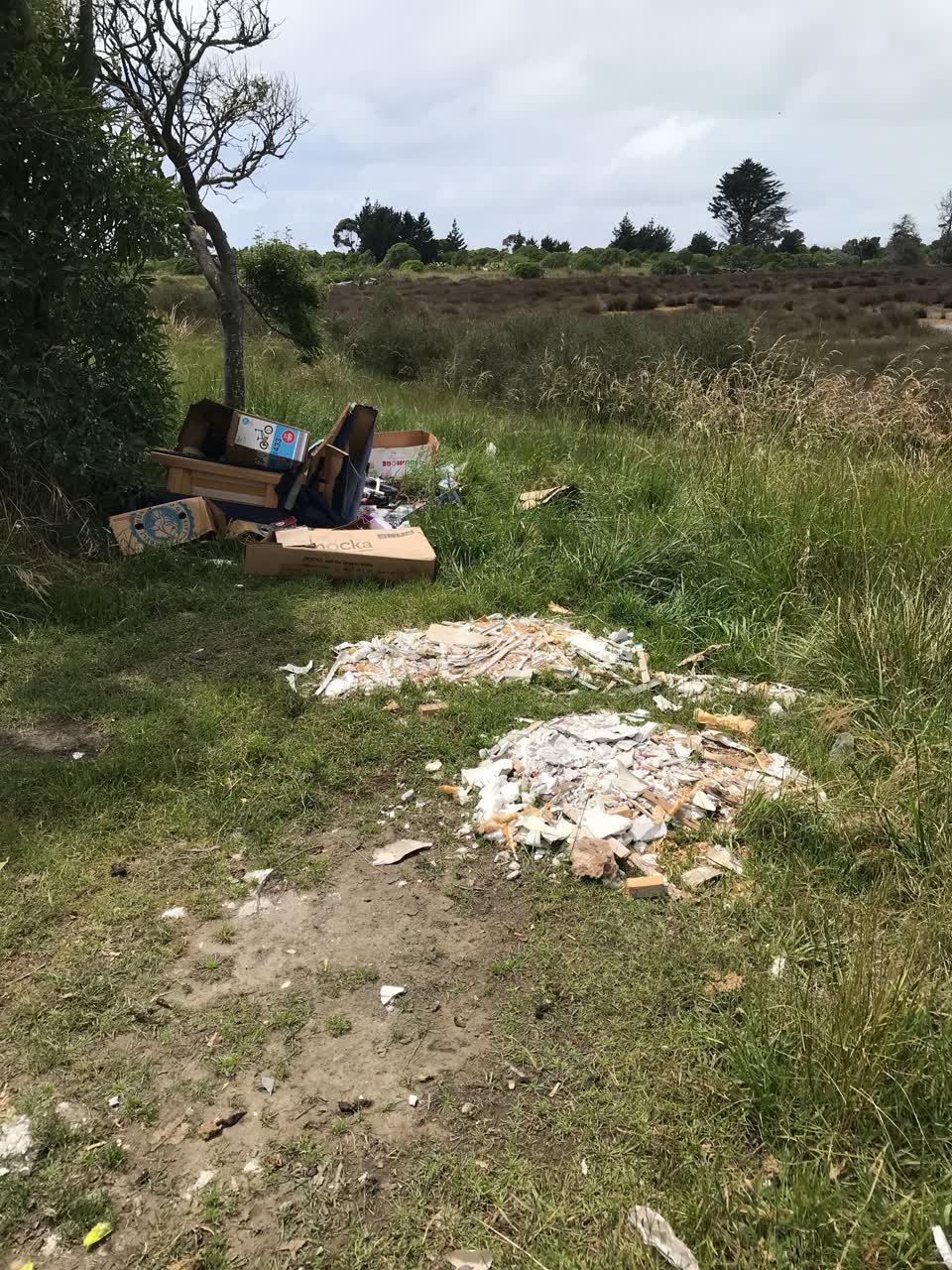 The photograph attached to this rubbish/recycling report