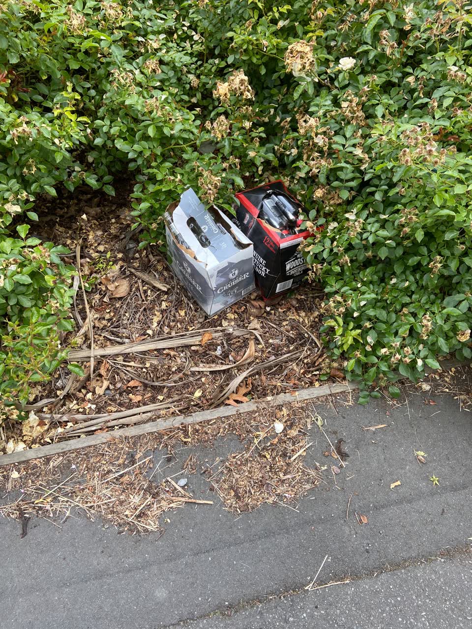 The photograph attached to this rubbish/recycling report