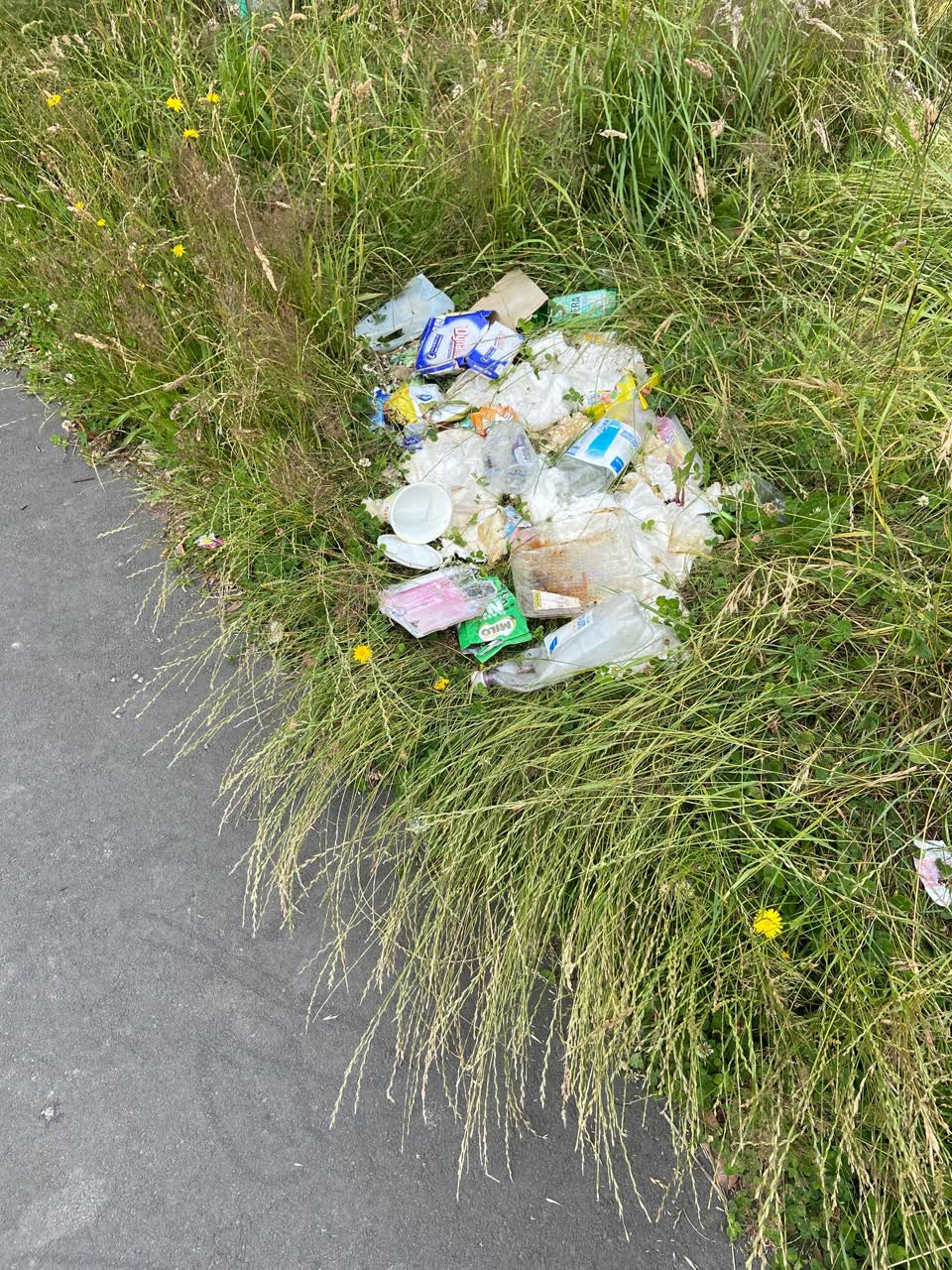 The photograph attached to this rubbish/recycling report