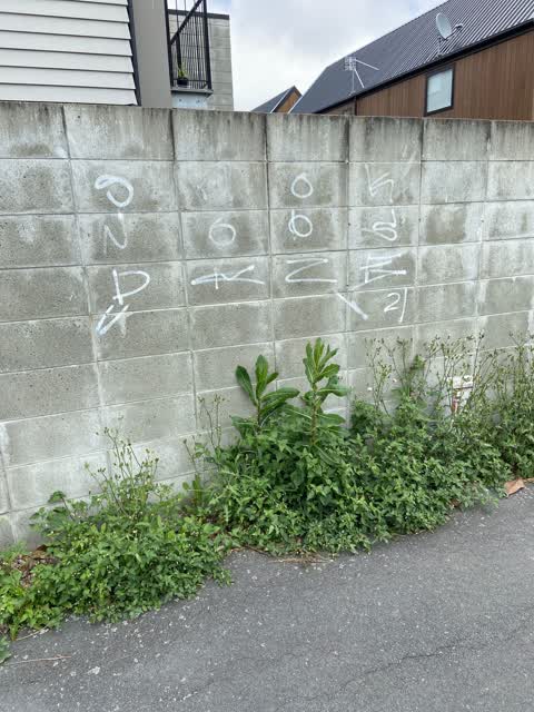 Graffiti, a report photo