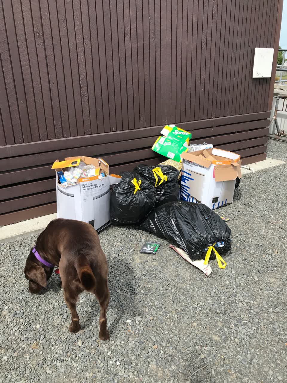 The photograph attached to this rubbish/recycling report