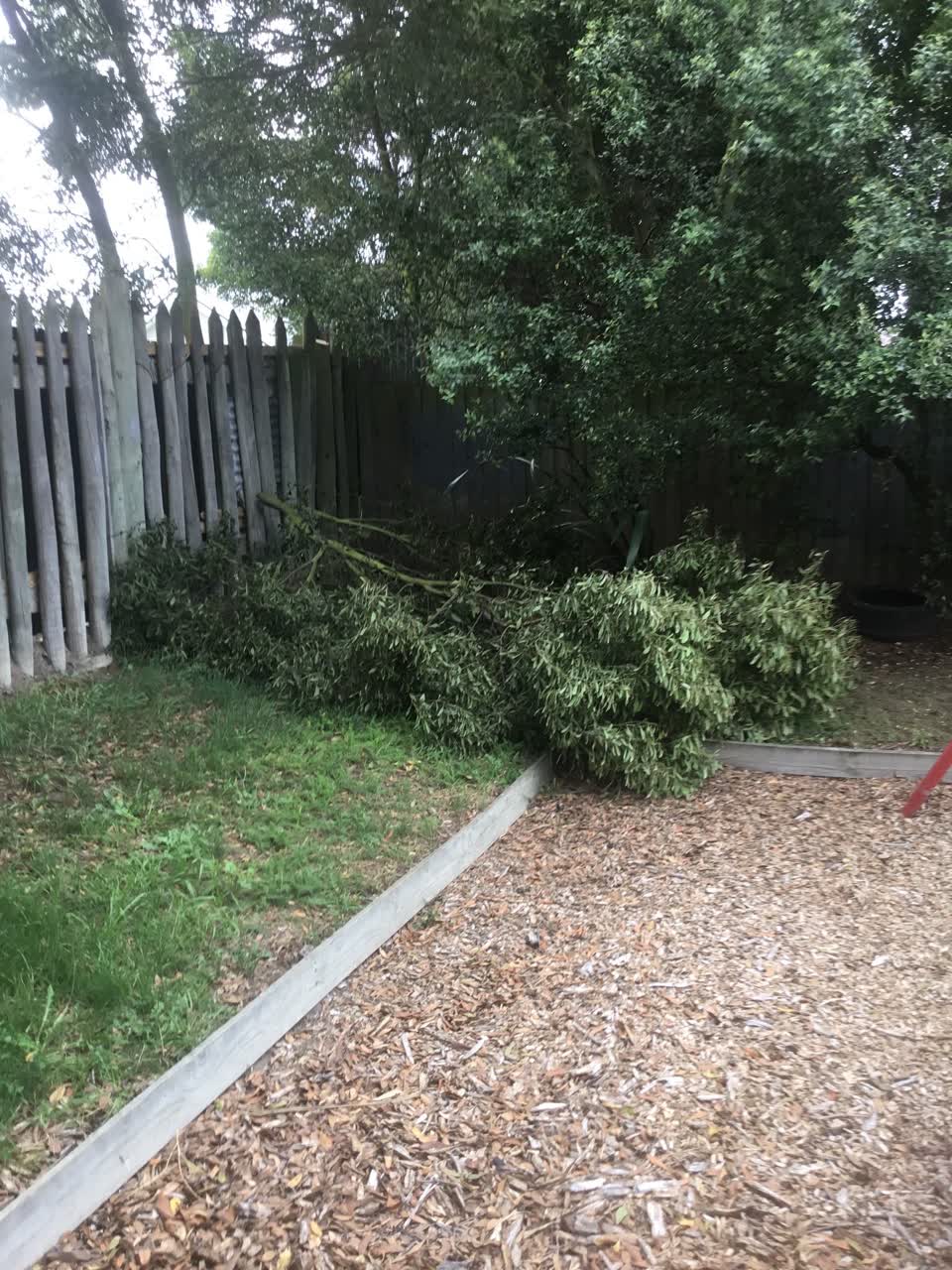 The photograph attached to this parks report