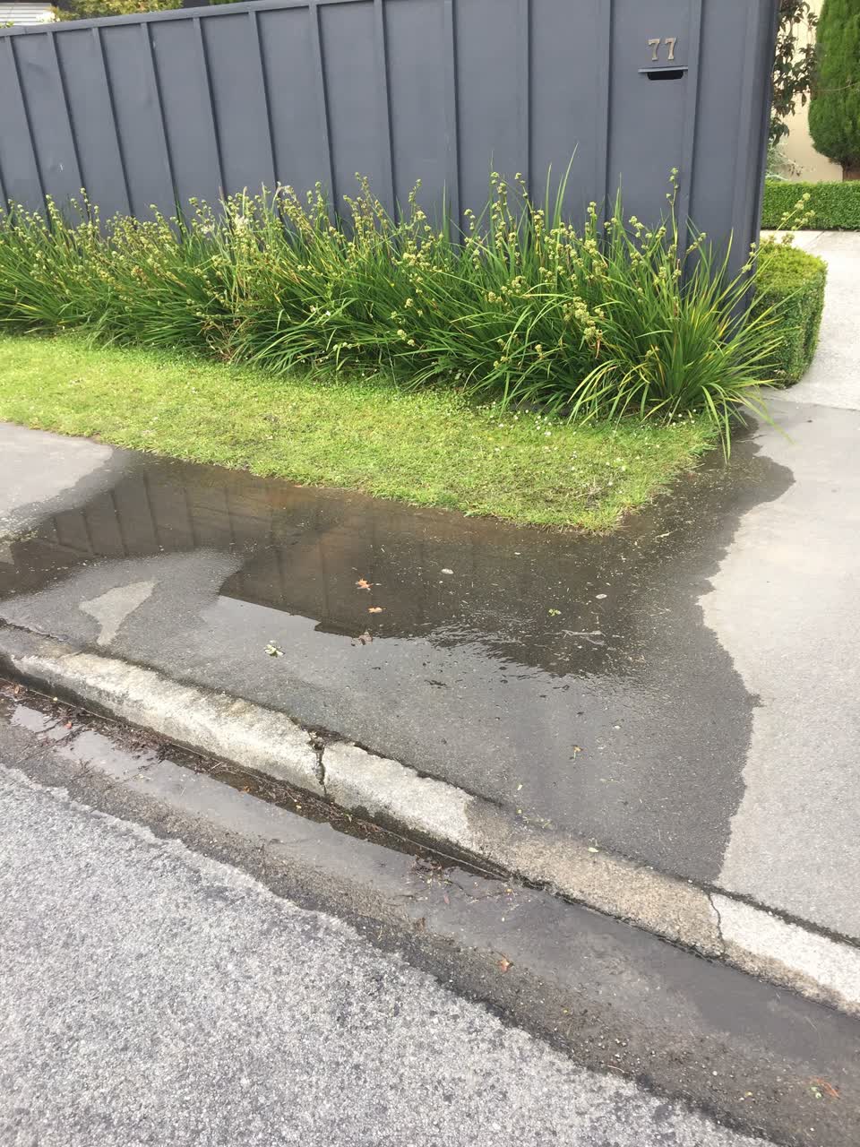 The photograph attached to this water leak report