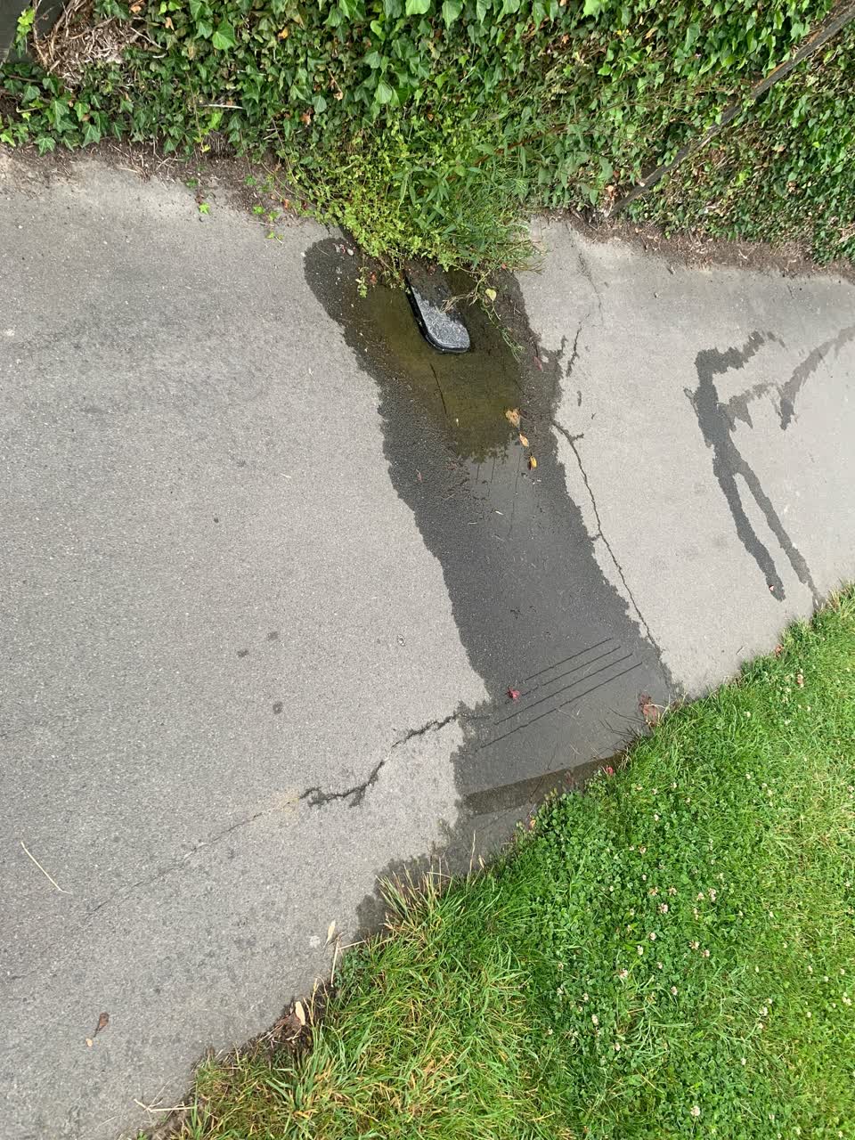 The photograph attached to this water leak report