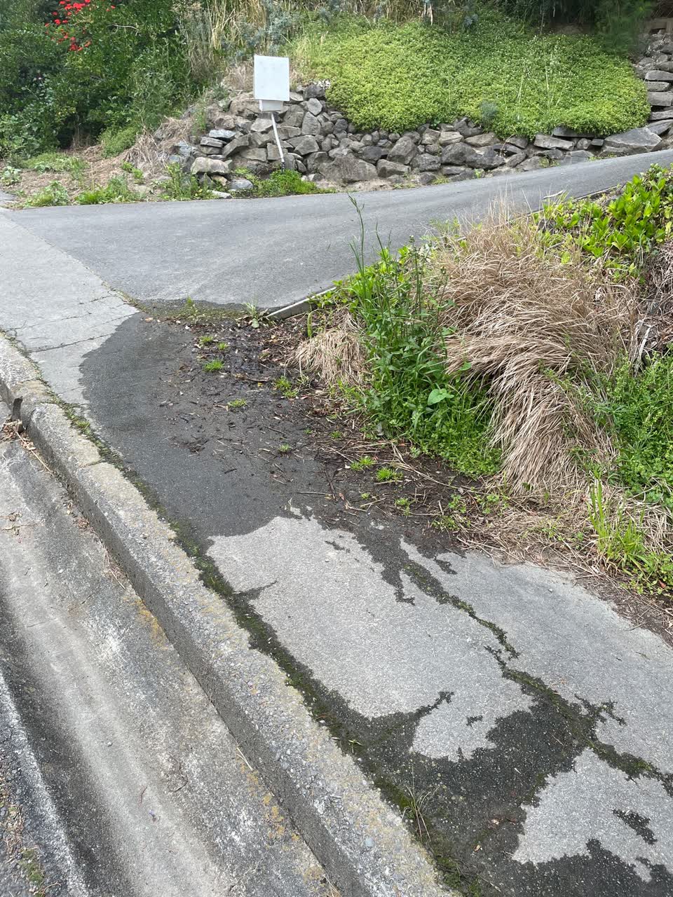 The photograph attached to this water leak report