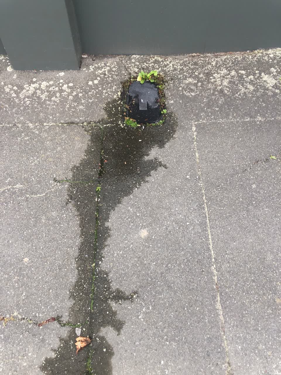 The photograph attached to this water leak report