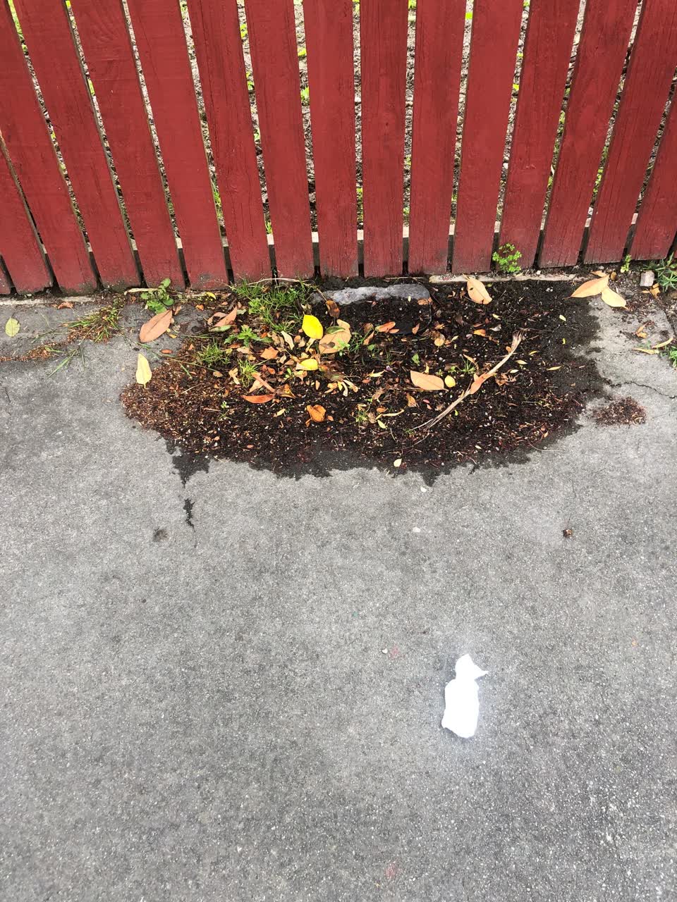 The photograph attached to this water supply report