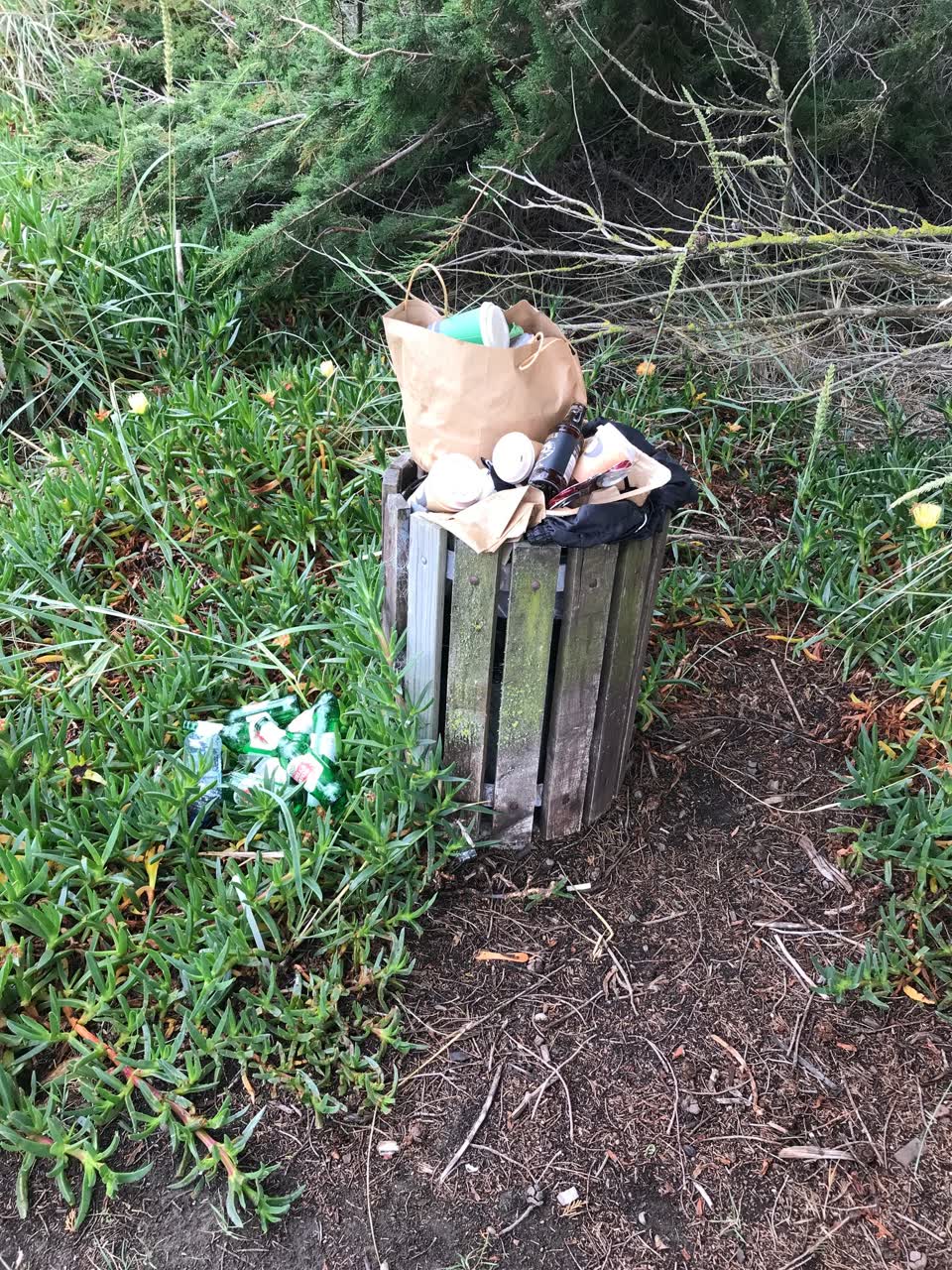 The photograph attached to this rubbish/recycling report