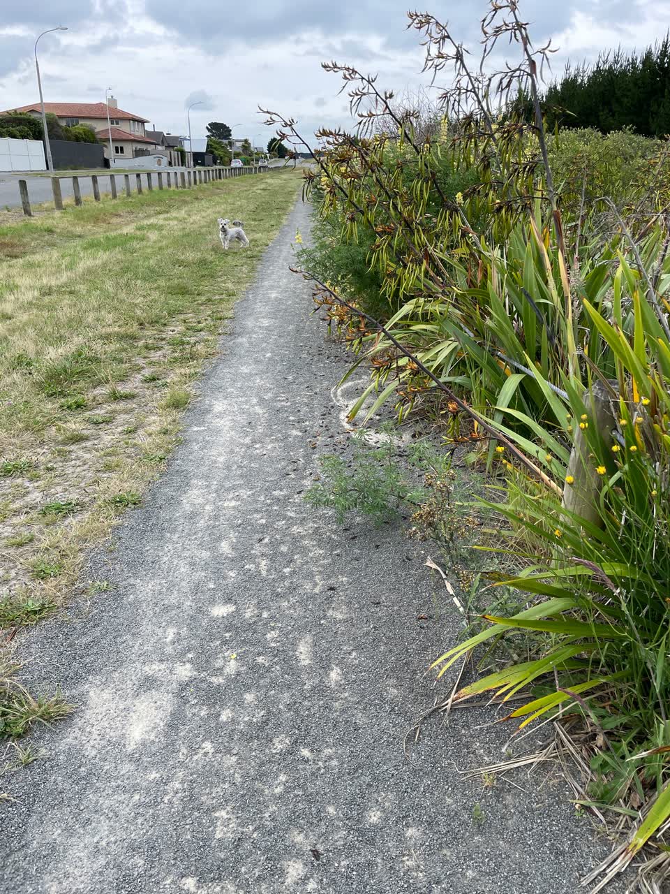 The photograph attached to this parks report