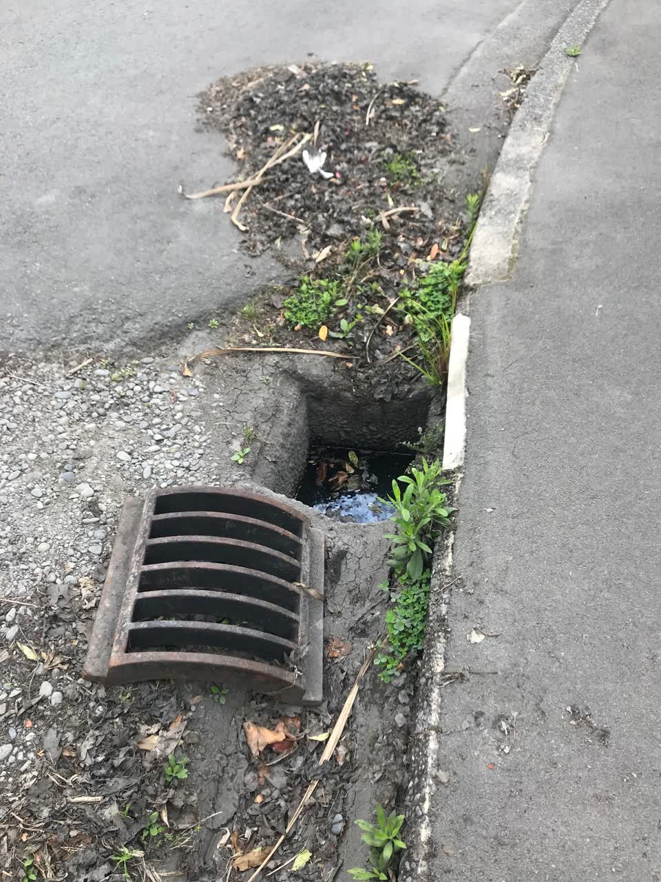 The photograph attached to this roading/streets report
