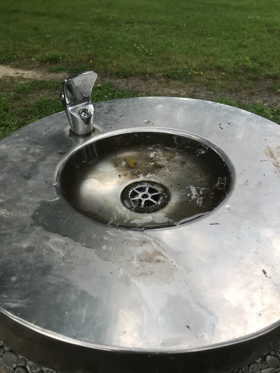 The photograph attached to this parks report