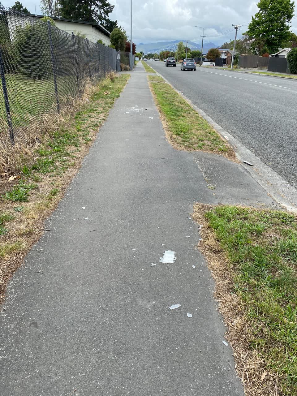 The photograph attached to this rubbish/recycling report