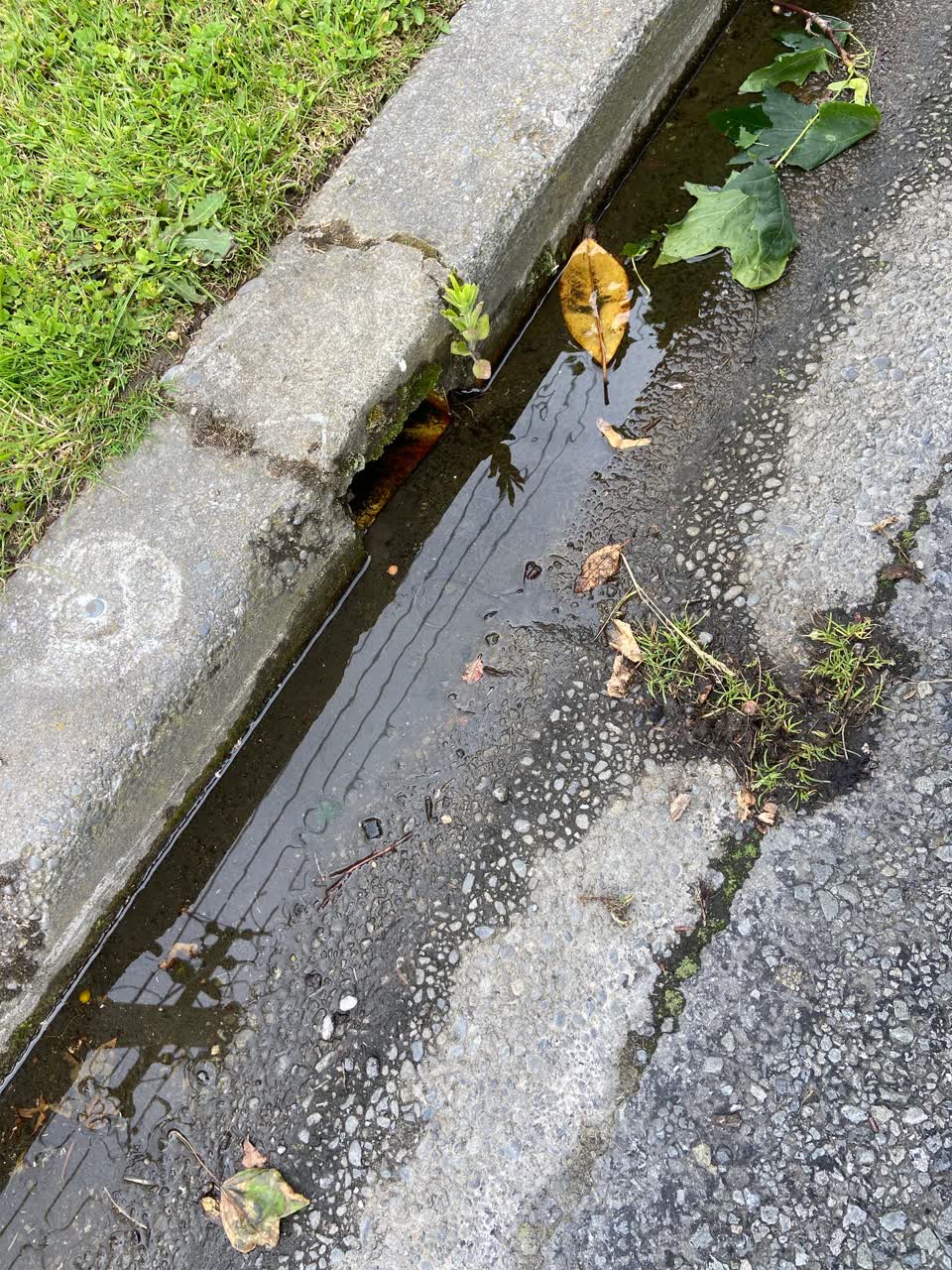The photograph attached to this water leak report