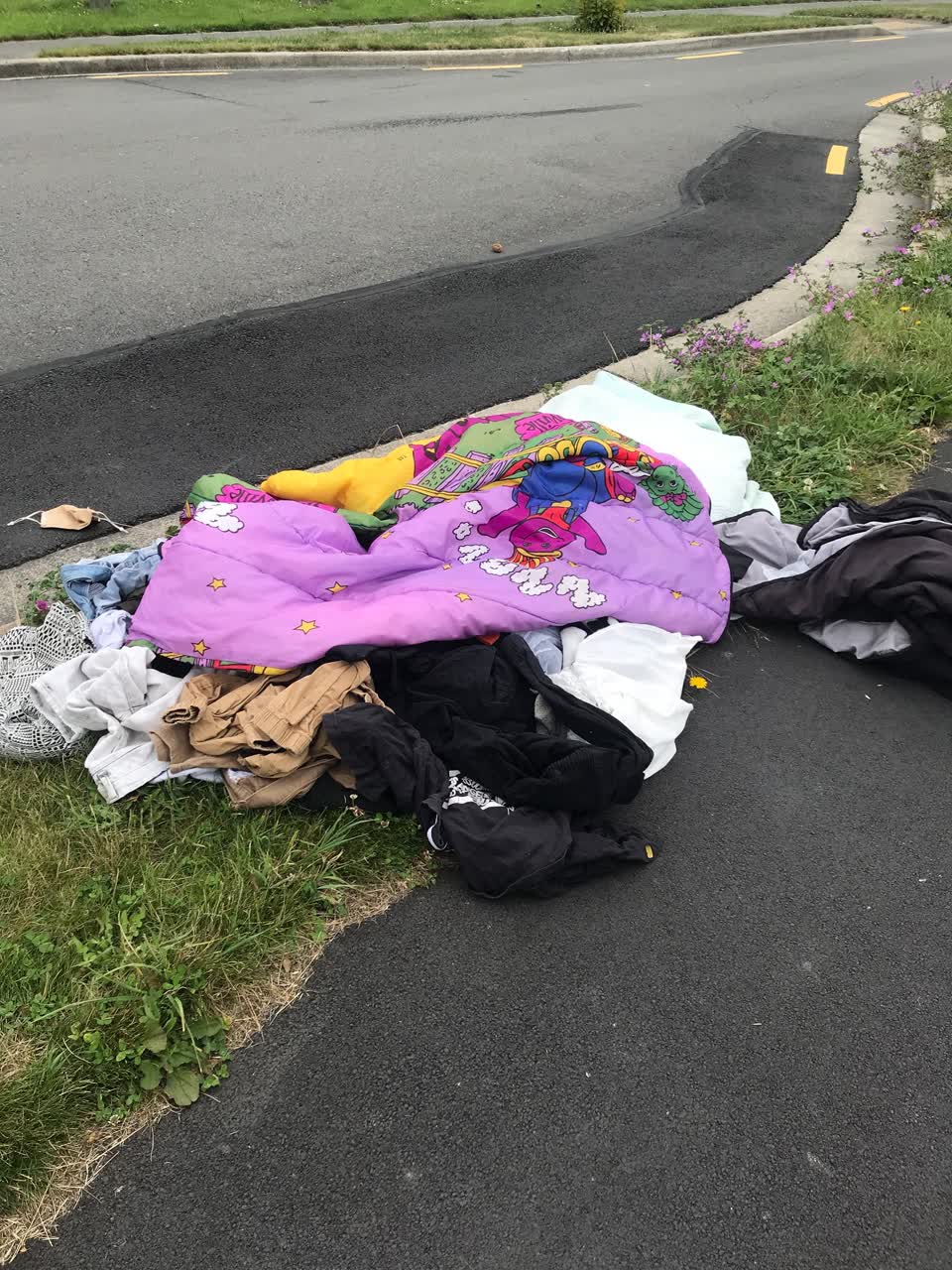 The photograph attached to this rubbish/recycling report