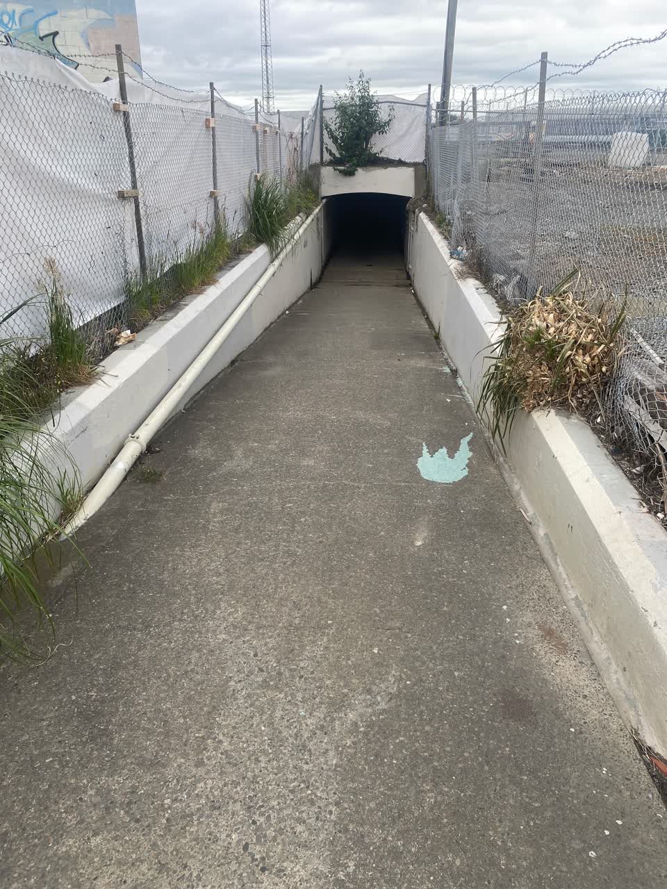 The photograph attached to this street light outage report