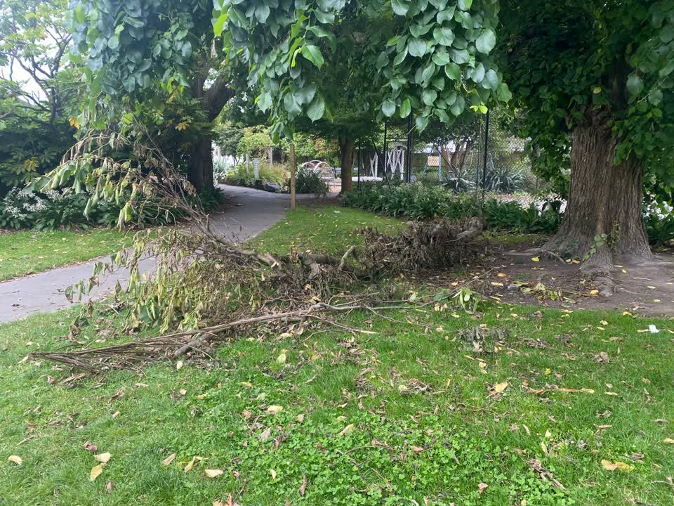 The photograph attached to this parks report