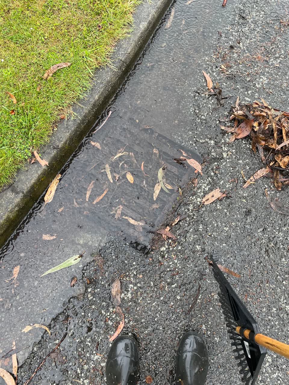 The photograph attached to this wastewater/stormwater report