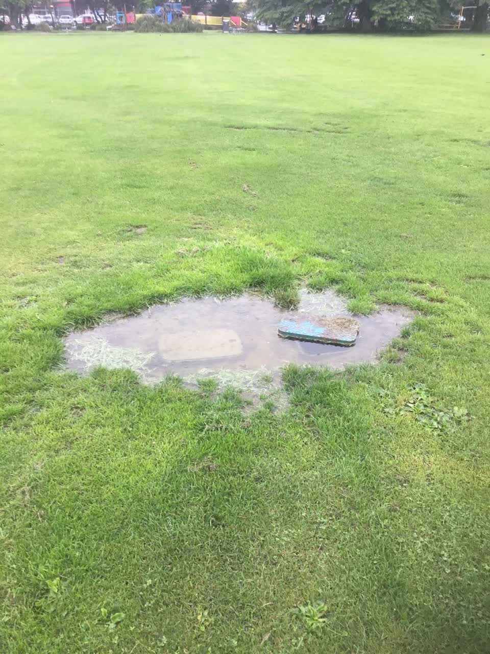 The photograph attached to this parks report