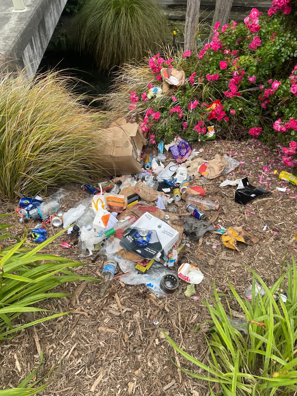 The photograph attached to this rubbish/recycling report
