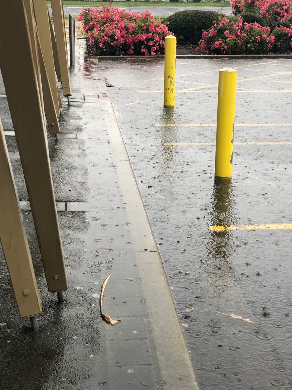The photograph attached to this flooding report